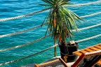 terrasse1